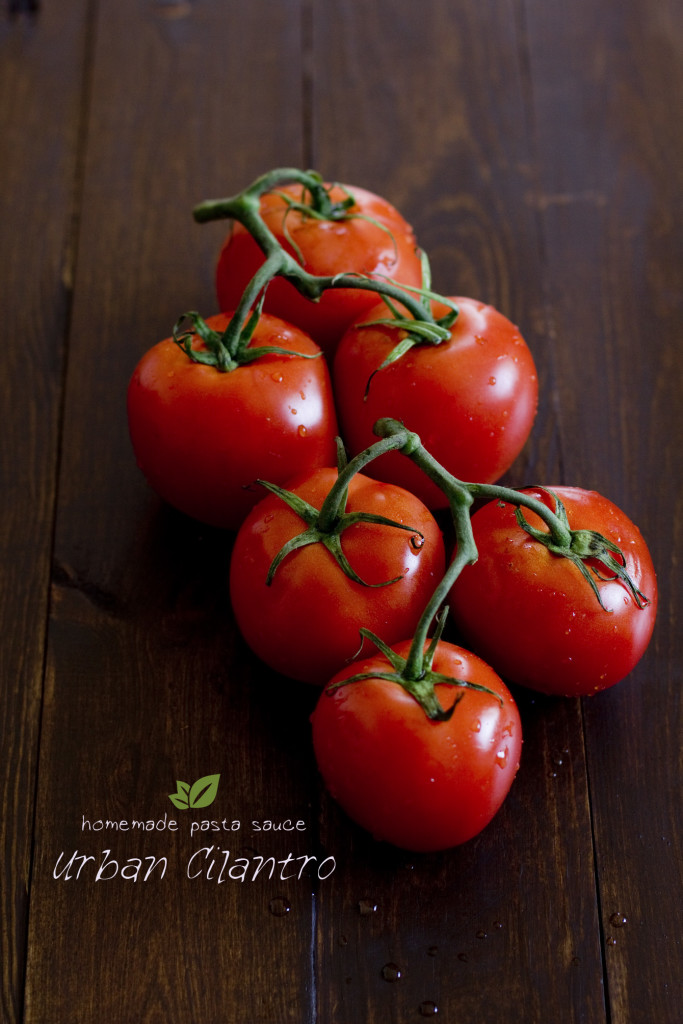 rainbow pasta with homemade sauce